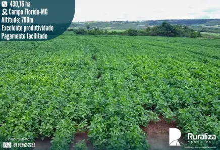 Fazenda/Sítio à venda, 430m² no , Veríssimo