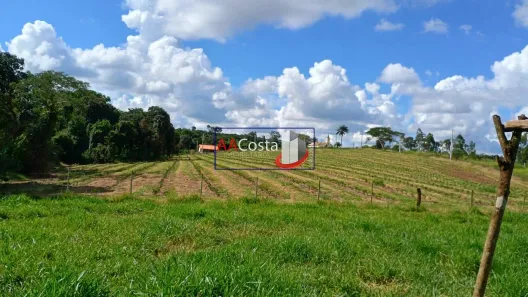 com 4 Quartos à venda, 7m² no Jardim Palestina, Franca