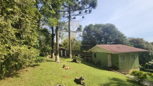 Fazenda/Sítio com 2 Quartos à venda, 7325m² no Chácaras Olhos Dágua, Campina Grande do Sul