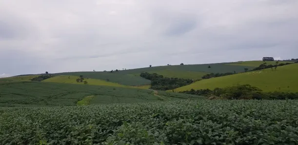 Fazenda/Sítio com 3 Quartos à venda, 75m² no Área Rural de Itapeva, Itapeva