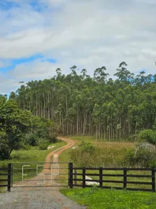 Fazenda/Sítio à venda, 2250600m² no Área Rural de Capão Bonito, Capão Bonito