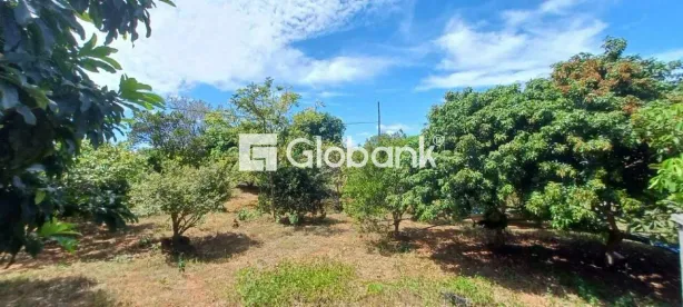Fazenda/Sítio à venda, 12000m² no São João da Vereda, Montes Claros