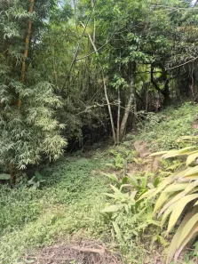 Lote/Terreno à venda, 4800m² no Rio Acima, Atibaia