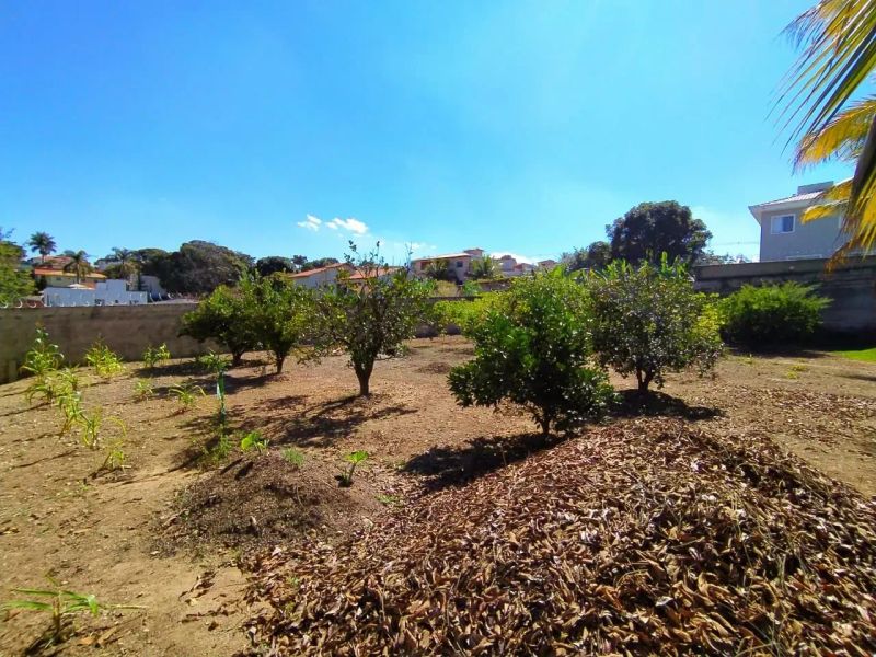 Foto 42