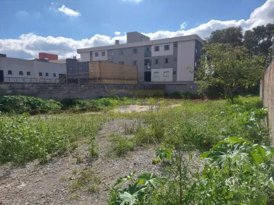 Lote/Terreno à venda, 600m² no Emiliano Perneta, Pinhais