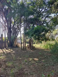 Lote/Terreno à venda, 1031m² no Chácara Santa Margarida, Campinas