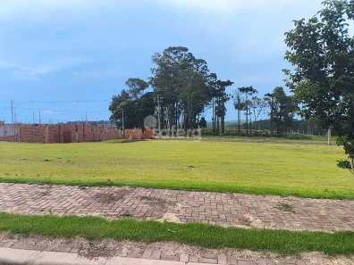 Lote/Terreno à venda, 300m² no Brazmadeira, Cascavel
