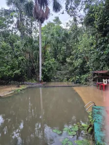 Fazenda/Sítio com 2 Quartos à venda, 2000m² no Flores, Manaus