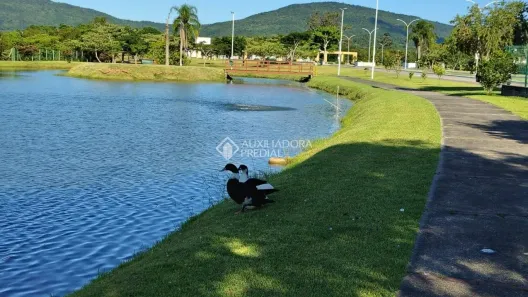 Lote/Terreno à venda, 400m² no Ratones, Florianópolis