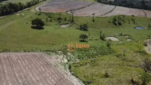 Fazenda/Sítio à venda, 266200m² no Vila Mazzei, Itapetininga