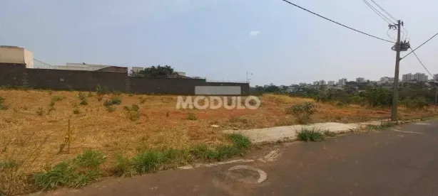 Lote/Terreno à venda, 250m² no Jardim Inconfidência, Uberlândia