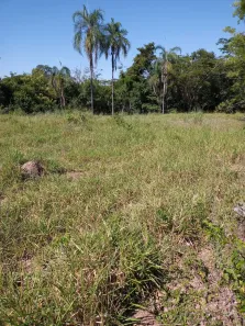 Fazenda/Sítio com 3 Quartos à venda, 2910000m² no , Arinos