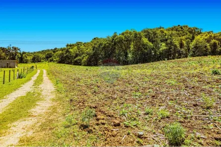 Lote/Terreno à venda, 18150m² no Botiatuba, Almirante Tamandaré