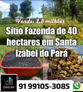 Fazenda/Sítio com 2 Quartos à venda, 400000m² no Americano, Santa Izabel do Pará