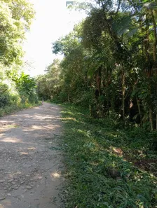 Lote/Terreno à venda, 39920m² no Colônia Sesmaria, Morretes