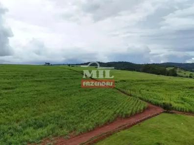 Fazenda/Sítio à venda, 500m² no Vila Santa Terezinha, Inhumas