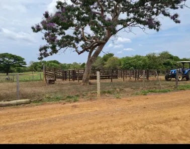 Fazenda/Sítio à venda no Centro, Unaí