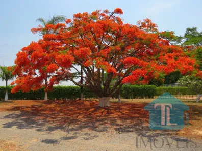 Fazenda/Sítio com 3 Quartos à venda, 20000m² no Núcleo Rural Lago Oeste, Brasília
