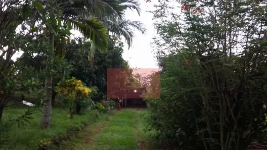 Fazenda/Sítio com 1 Quarto à venda, 1m² no Centro, Londrina