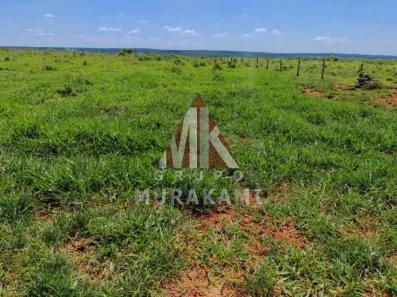 Fazenda/Sítio com 1 Quarto à venda, 1134m² no , Santa Rita do Pardo