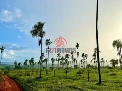 Fazenda/Sítio com 4 Quartos à venda, 46m² no , Professor Jamil