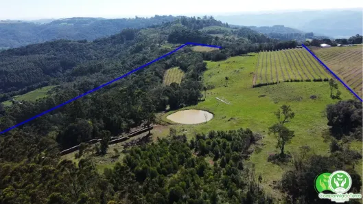 Fazenda/Sítio à venda, 160000m² no , Roca Sales