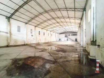 Lote/Terreno para alugar, 1000m² no Vila Valença, São Vicente