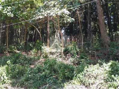Lote/Terreno à venda, 2181m² no Roseira, Mairiporã