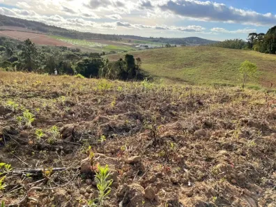 Lote/Terreno à venda, 500m² no Centro (Caucaia do Alto), Cotia