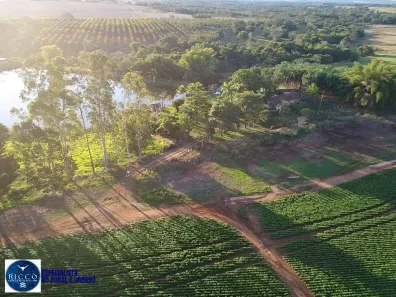 Fazenda/Sítio com 3 Quartos à venda, 140m² no Setor Central, Santa Rita do Novo Destino