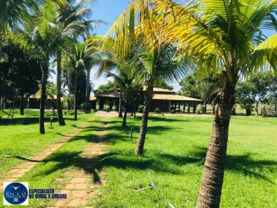Fazenda/Sítio com 4 Quartos à venda, 1m² no Setor Estrela do Oriente, Trindade