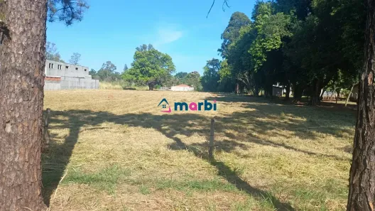 Lote/Terreno à venda, 10000m² no Parque Industrial Fritz Bersin, Nova Odessa