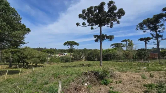 Lote/Terreno à venda, 5594m² no Santa Felicidade, Curitiba