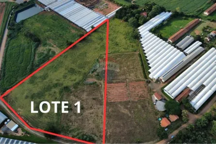 Lote/Terreno à venda, 20000m² no Área Rural de Holambra, Holambra