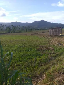Imóvel Comercial à venda, 36828m² no Areias de Cima (Guaporanga), Biguaçu