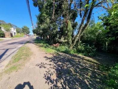 Lote/Terreno à venda, 2500m² no Vila Nova, Porto Alegre