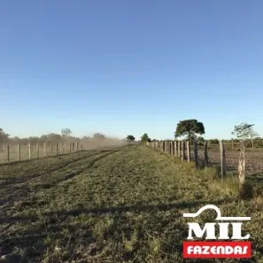 Fazenda/Sítio à venda, 500m² no , Cocalinho