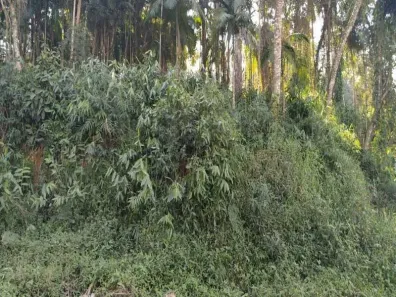 à venda, 904m² no Imigrantes, Timbó