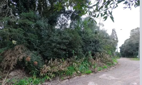 Lote/Terreno à venda, 1151m² no Centro, São Francisco de Paula