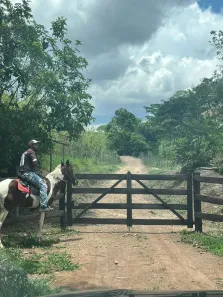 Fazenda/Sítio à venda, 10m² no , Água Fria de Goiás