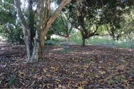 Lote/Terreno à venda, 1050m² no Portal de Pirapora, Salto de Pirapora