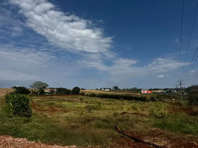 para alugar, 14000m² no Zona Rural, Marialva