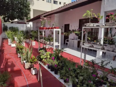 Casa com 3 Quartos à venda, 300m² no Pituba, Salvador