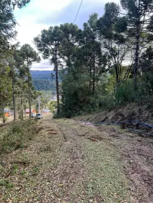 Lote/Terreno à venda, 20000m² no Águas Brancas, Urubici