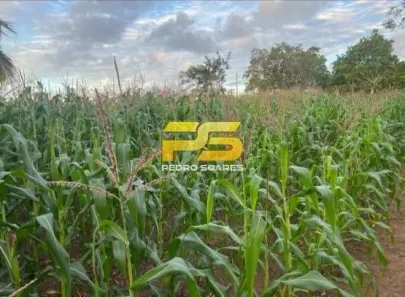 Fazenda/Sítio com 3 Quartos à venda, 110000m² no , Bananeiras