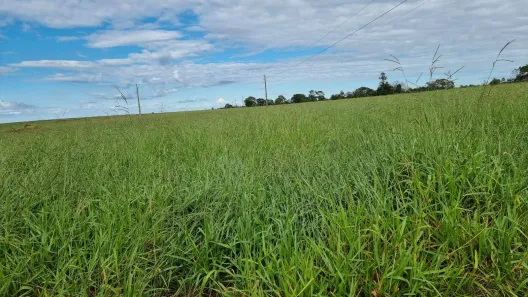 Lote/Terreno à venda, 2400m² no , Paranatinga