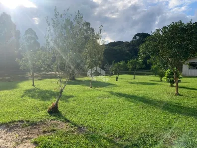 Fazenda/Sítio à venda, 250m² no Ferraria, Campo Largo