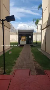 Apartamento com 2 Quartos à venda, 38m² no Chácara Manella, Cambé