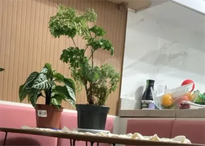 Apartamento com 1 Quarto à venda, 25m² no Vila Prudente, São Paulo