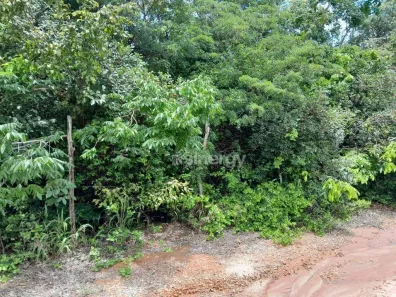 Lote/Terreno à venda, 1000m² no Pipa, Tibau do Sul